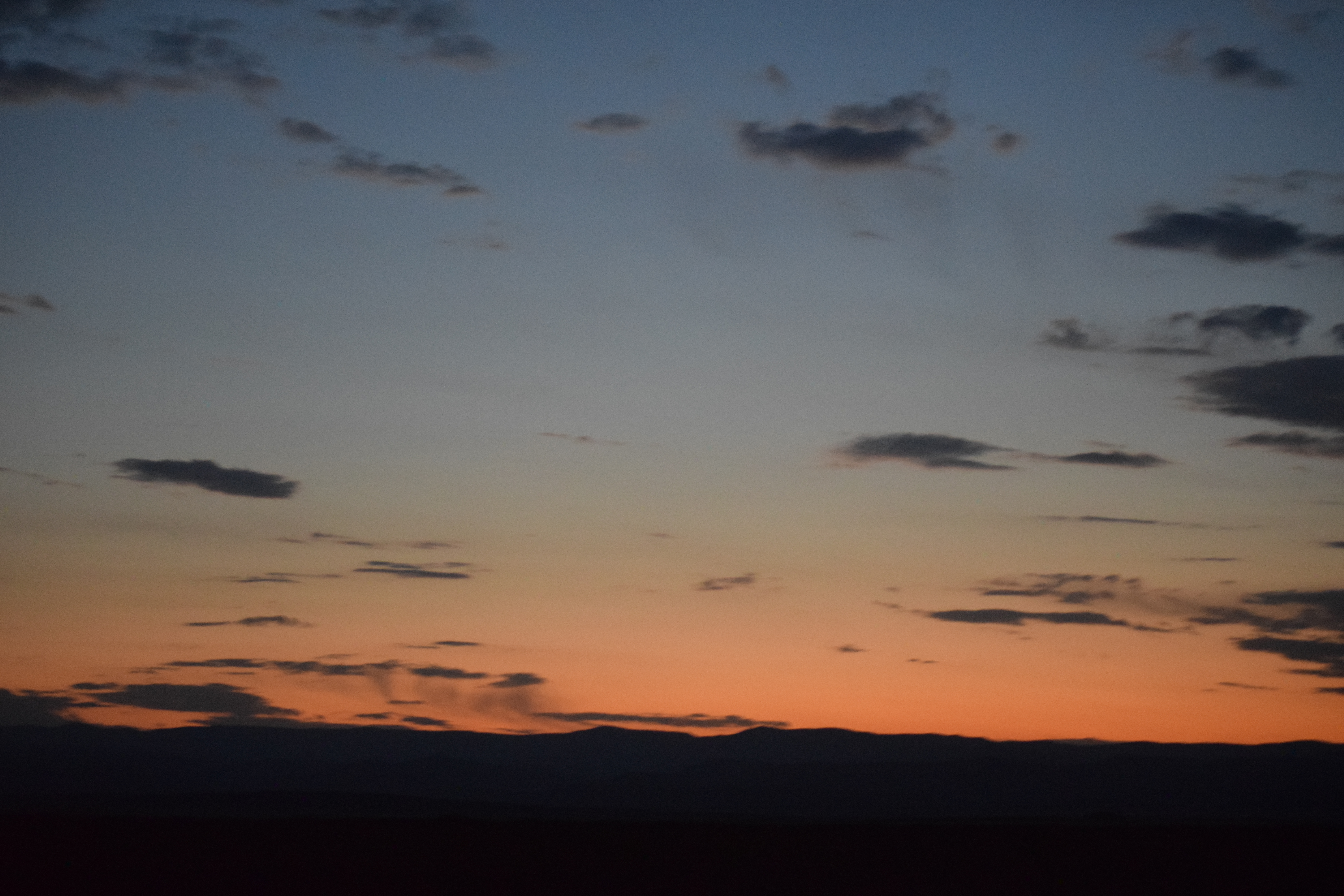 Desert Photo Bomb thumbnail